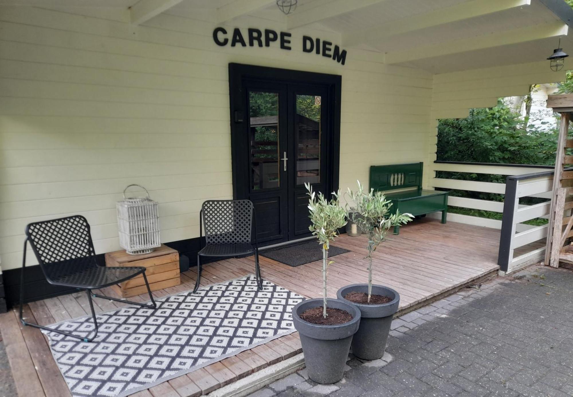 Carpe Diem, Het Ruime Chalet Met Houtkachel Nabij Wildlands Emmen Schoonebeek Phòng bức ảnh